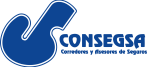 logo consegsa azul logo consegsa azul